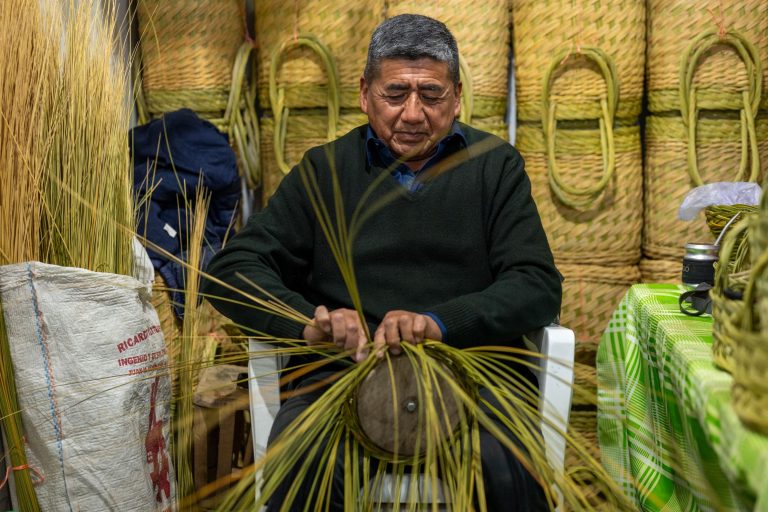 Las regiones de Catamarca se expresan a través de sus artesanías en el Poncho