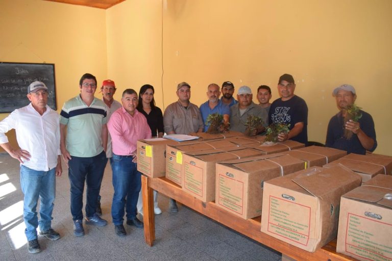 PRODUCCIÓN: LAS PRIMERAS FRUTILLAS DEL PROGRAMA ÑANDE MARCAN UN NUEVO PASO PARA LOS PEQUEÑOS PRODUCTORES