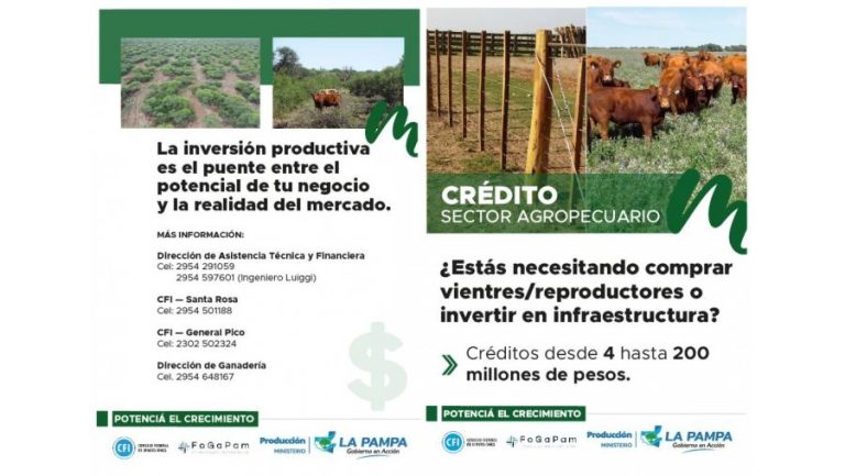 Entra en vigencia una amplia línea crediticia para productores agropecuarios