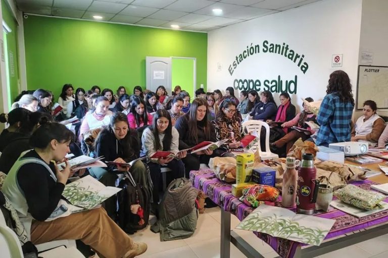 Con impronta federal, el plan provincial de alfabetización llega a más de mil docentes neuquinos