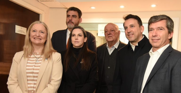 Mendoza presentó el proyecto de ley para implementar el nuevo Régimen Penal Juvenil