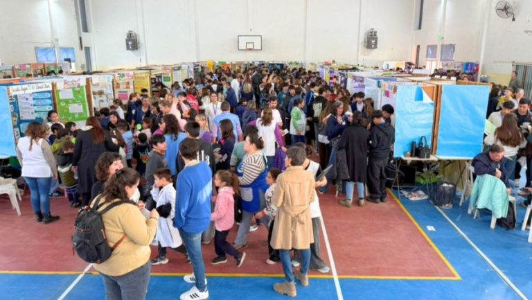19 proyectos representarán a La Pampa en las Ferias Nacionales de Ciencias, Arte y Tecnología