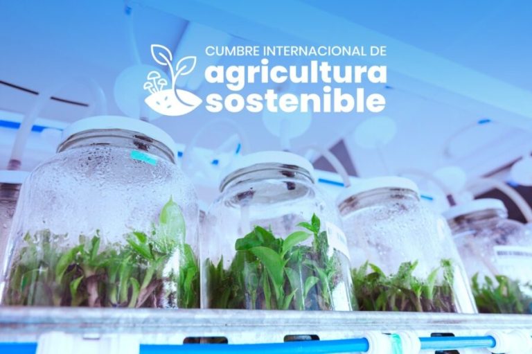 COMENZÓ LA CUMBRE INTERNACIONAL DE AGRICULTURA SOSTENIBLE EN MISIONES, CON LA PRODUCCIÓN, LA CIENCIA Y LA INNOVACIÓN COMO EJES 